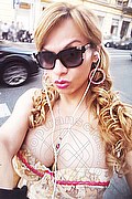 Novara Transex Brandy 388 3860479 foto selfie 85