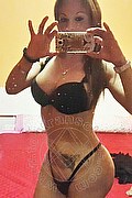 Novara Transex Brandy 388 3860479 foto selfie 77