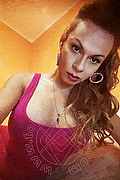 Novara Transex Brandy 388 3860479 foto selfie 66