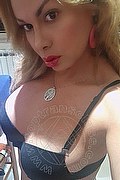 Novara Transex Brandy 388 3860479 foto selfie 29