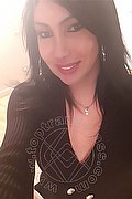 Padova Transex Izabelli Frazao Pornostar 327 6619130 foto selfie 15