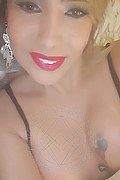 Padova Transex Izabelli Frazao Pornostar 327 6619130 foto selfie 30