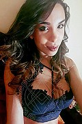 Reggio Emilia Transex Fernanda Tavares 366 7013803 foto selfie 112