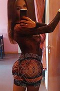 Reggio Emilia Transex Fernanda Tavares 366 7013803 foto selfie 139