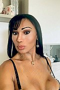 Ospitaletto Transex Sheila Matarazzo 339 2171031 foto selfie 10