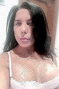 Novara Transex Nikole 331 2164480 foto selfie 8