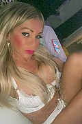 Villorba Transex Pamy La Diva Stellare 324 7819703 foto selfie 144