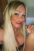 Villorba Transex Pamy La Diva Stellare 324 7819703 foto selfie 142