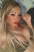 Villorba Transex Pamy La Diva Stellare 324 7819703 foto selfie 141