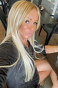 Villorba Transex Pamy La Diva Stellare 324 7819703 foto selfie 136