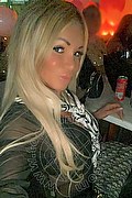 Villorba Transex Pamy La Diva Stellare 324 7819703 foto selfie 72