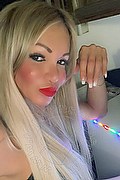 Villorba Transex Pamy La Diva Stellare 324 7819703 foto selfie 62