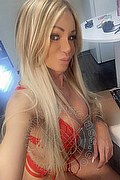 Villorba Transex Pamy La Diva Stellare 324 7819703 foto selfie 61