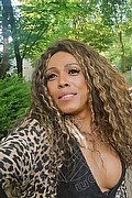 Mestre Transex Paolina Mulatta 333 2910933 foto selfie 17