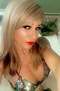 Villorba Transex Pamy La Diva Stellare 324 7819703 foto selfie 671