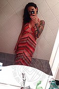 Treviso Transex Valeria 338 8718849 foto selfie 857