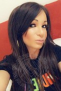 Villorba Transex Pamy La Diva Stellare 324 7819703 foto selfie 952