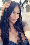 Villorba Transex Pamy La Diva Stellare 324 7819703 foto selfie 945