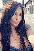 Villorba Transex Pamy La Diva Stellare 324 7819703 foto selfie 995