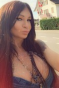 Villorba Transex Pamy La Diva Stellare 324 7819703 foto selfie 993