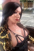 Villorba Transex Pamy La Diva Stellare 324 7819703 foto selfie 1046