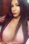 Villorba Transex Pamy La Diva Stellare 324 7819703 foto selfie 1037