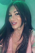 Villorba Transex Pamy La Diva Stellare 324 7819703 foto selfie 1024