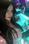 Villorba Transex Pamy La Diva Stellare 324 7819703 foto selfie 1020