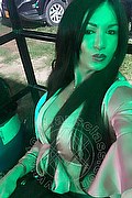 Villorba Transex Pamy La Diva Stellare 324 7819703 foto selfie 1009