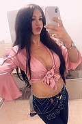 Villorba Transex Pamy La Diva Stellare 324 7819703 foto selfie 1010