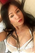 Villorba Transex Pamy La Diva Stellare 324 7819703 foto selfie 1072