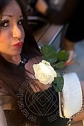 Villorba Transex Pamy La Diva Stellare 324 7819703 foto selfie 1159