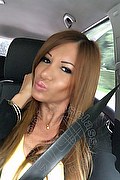 Villorba Transex Pamy La Diva Stellare 324 7819703 foto selfie 1296