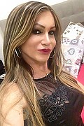 Villorba Transex Pamy La Diva Stellare 324 7819703 foto selfie 1277