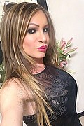 Villorba Transex Pamy La Diva Stellare 324 7819703 foto selfie 1261