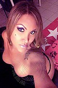 Vicenza Transex Giselle Pires 327 3386244 foto selfie 157