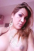 Vicenza Transex Giselle Pires 327 3386244 foto selfie 161