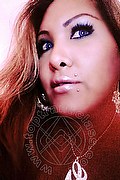 Vicenza Transex Giselle Pires 327 3386244 foto selfie 164