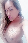 Vicenza Transex Giselle Pires 327 3386244 foto selfie 125
