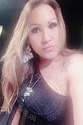 Vicenza Transex Giselle Pires 327 3386244 foto selfie 122