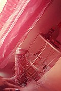 Vicenza Transex Giselle Pires 327 3386244 foto selfie 185