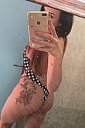 Bisceglie Transex Phenelope Dourado 351 0810753 foto selfie 8