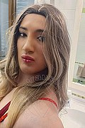 Forl Transex Giulia Romagnola 351 7091081 foto selfie 16