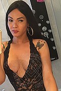 Prato Transex Ana Paola Tx 351 1711668 foto selfie 47