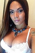 Prato Transex Ana Paola Tx 351 1711668 foto selfie 90