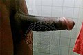 Termoli Transex Kimon Cat 345 6112291 foto selfie 11