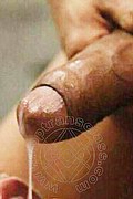 Termoli Transex Kimon Cat 345 6112291 foto selfie 10