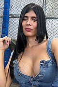 Boara Pisani Transex Ivanna 333 5219542 foto selfie 3
