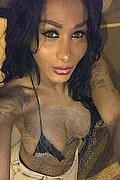 Verona Transex Paula Lucarely 327 2772495 foto selfie 4