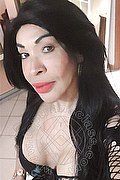 Prato Transex Taina Oliveira 328 5382487 foto selfie 14